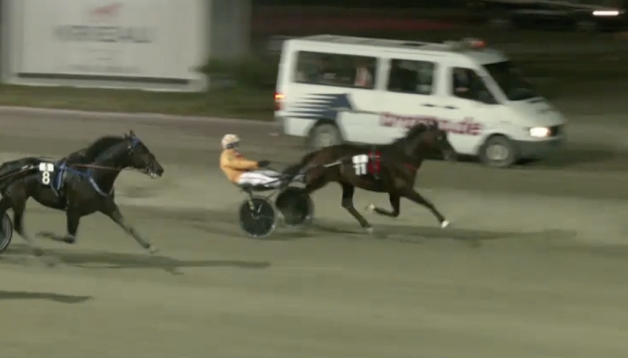 Always Ek och Alessandro Gocciadoro vinner före Aladin.