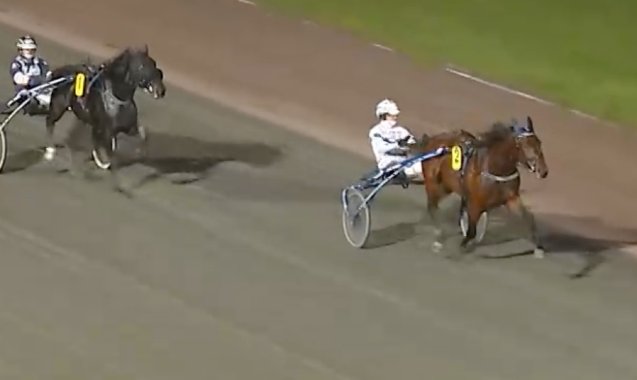 Kangaroo Court vid debutsegern igår.
Skärmbild ATG-live