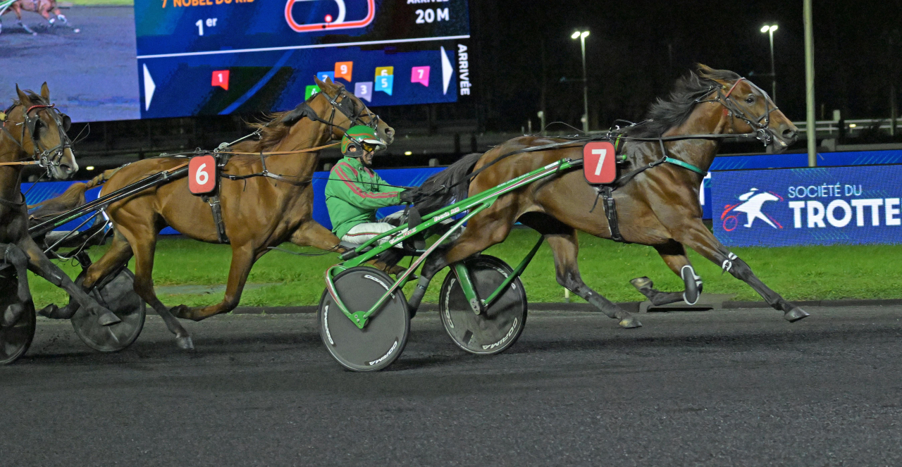 Nobel du Rib och Jean Loïc Claude Dersoir vinner på Vincennes.
Foto: Gerard Forni